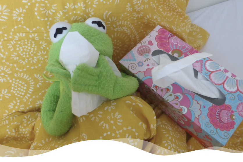 Kermit, krank im Bett, Schnupfen